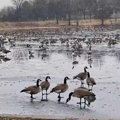 Kingston Lake Park - Overland Park, KS