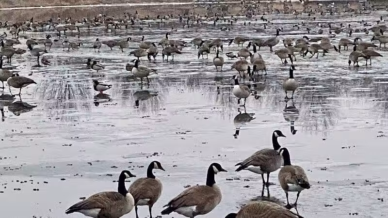 Kingston Lake Park - Overland Park, KS