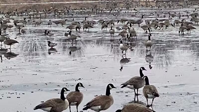 Kingston Lake Park - Overland Park, KS