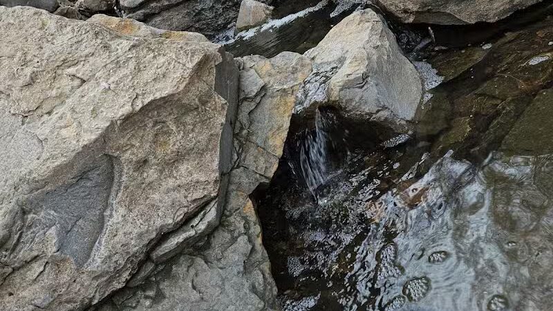 Lexington Park - Overland Park, KS