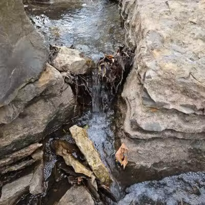 Lexington Park - Overland Park, KS