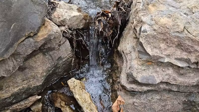 Lexington Park - Overland Park, KS