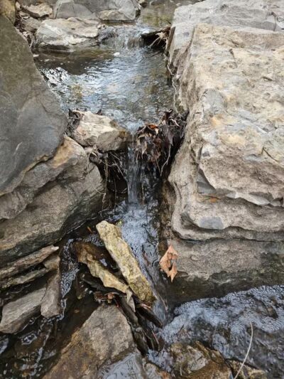 Lexington Park - Overland Park, KS