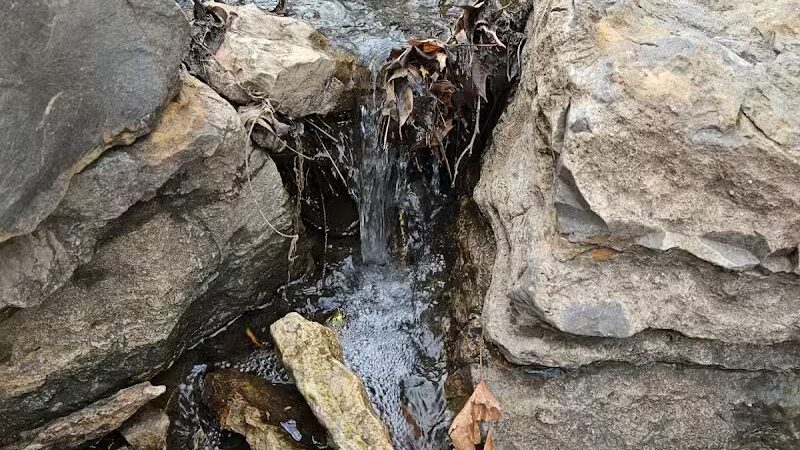 Lexington Park - Overland Park, KS