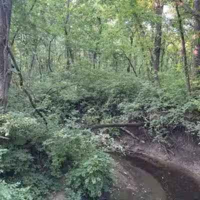 Lexington Park - Overland Park, KS