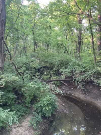 Lexington Park - Overland Park, KS