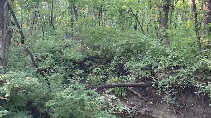 Lexington Park - Overland Park, KS