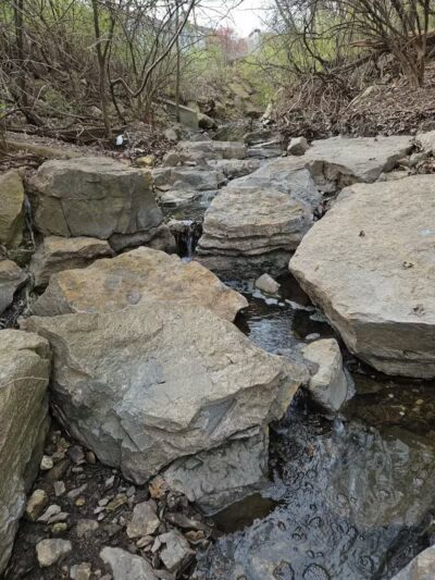 Lexington Park - Overland Park, KS