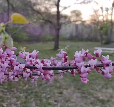 Nottingham Downs Park - Overland Park, KS