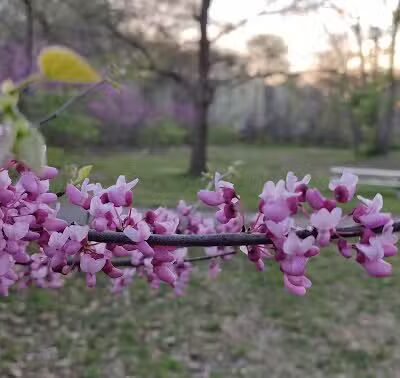 Nottingham Downs Park - Overland Park, KS