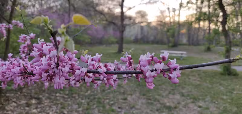Nottingham Downs Park - Overland Park, KS