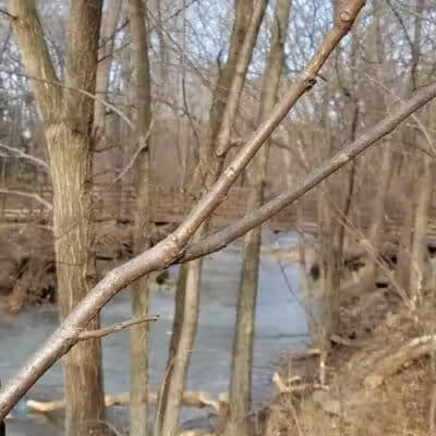 Nottingham Downs Park - Overland Park, KS