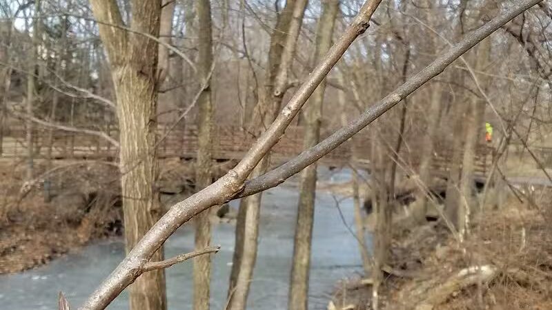 Nottingham Downs Park - Overland Park, KS