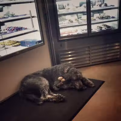 Three Dog Bakery Overland Park - Overland Park, KS
