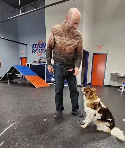 Zoom Room Dog Training - Overland Park - Overland Park, KS