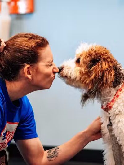 Zoom Room Dog Training - Overland Park - Overland Park, KS