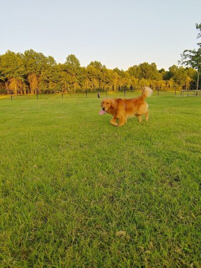 Waggin Trail Dog Park - Owasso, OK