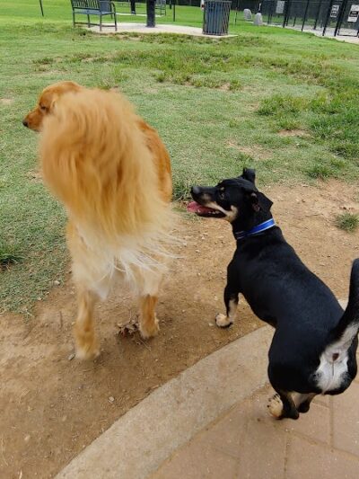 Waggin Trail Dog Park - Owasso, OK