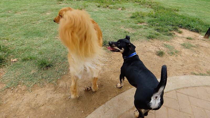 Waggin Trail Dog Park - Owasso, OK