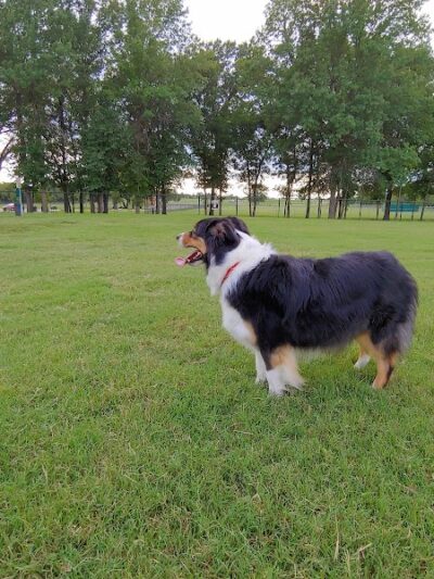 Waggin Trail Dog Park - Owasso, OK