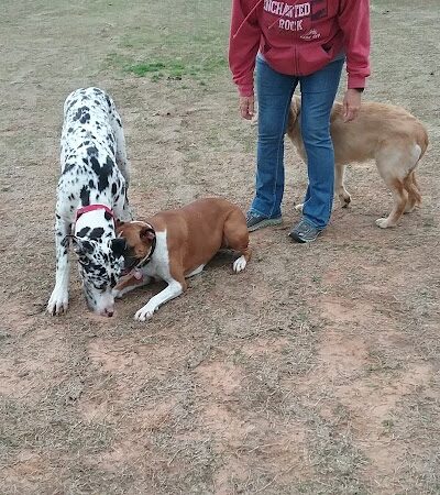 Waggin Trail Dog Park - Owasso, OK