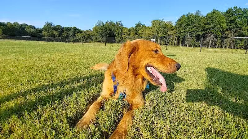 Waggin Trail Dog Park - Owasso, OK