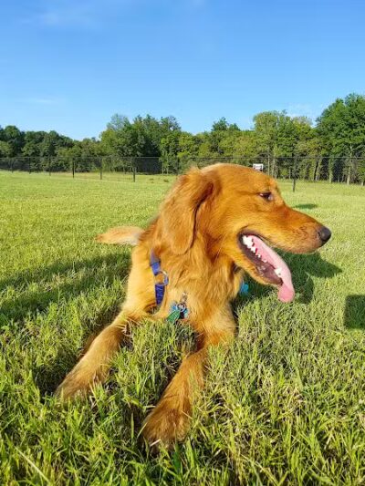 Waggin Trail Dog Park - Owasso, OK