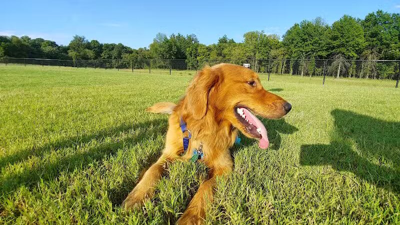 Waggin Trail Dog Park - Owasso, OK