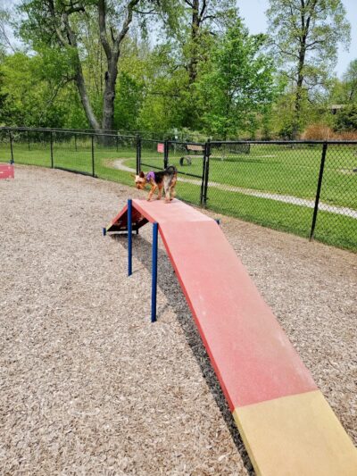 Rebecca Weitsman Memorial Dog Park - Owego, NY
