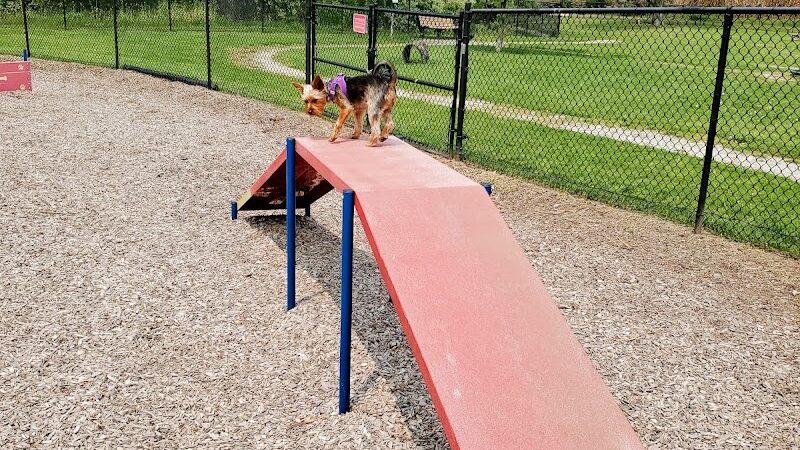Rebecca Weitsman Memorial Dog Park - Owego, NY