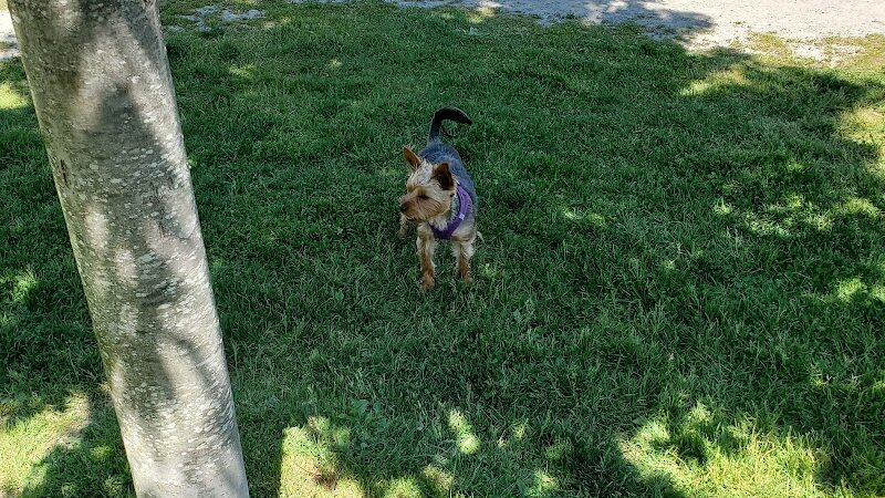 Rebecca Weitsman Memorial Dog Park - Owego, NY