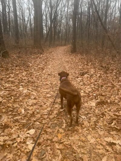 Lake Marguerite Wildlife Refuge - Oxford, NJ