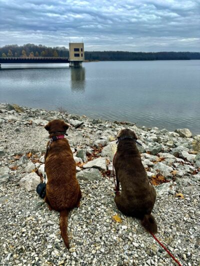 Lake Marguerite Wildlife Refuge - Oxford, NJ