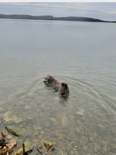 Lake Marguerite Wildlife Refuge - Oxford, NJ
