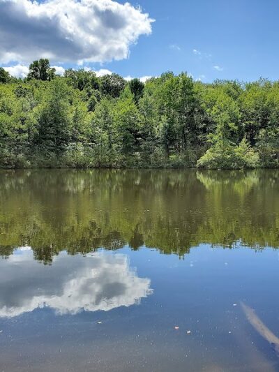 Lake Marguerite Wildlife Refuge - Oxford, NJ