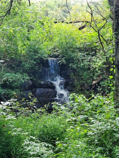 Lake Marguerite Wildlife Refuge - Oxford, NJ