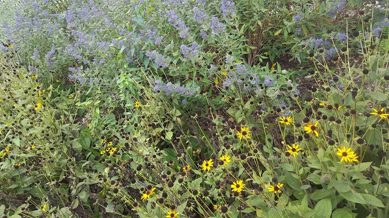 Police Officer Nicholas Demutiis Park - Ozone Park, NY