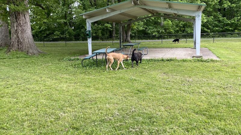 Stuart Nelson Large Dog Park - Paducah, KY