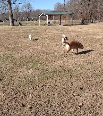 Stuart Nelson Large Dog Park - Paducah, KY