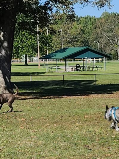 Stuart Nelson Small Dog Park - Paducah, KY