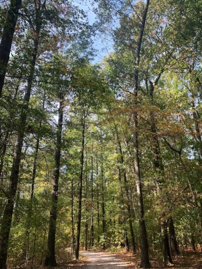 Stuart Nelson Small Dog Park - Paducah, KY