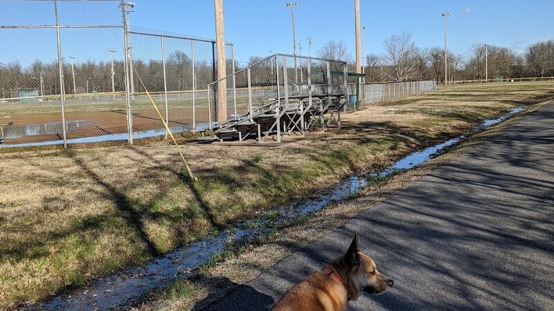 Stuart Nelson Small Dog Park - Paducah, KY