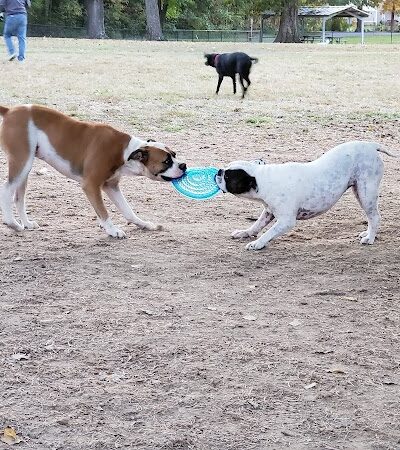 Stuart Nelson Small Dog Park - Paducah, KY