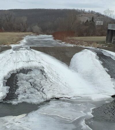 Craig Park Dog Park - Painted Post, NY