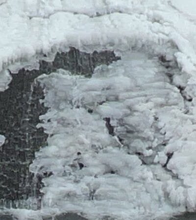 Craig Park Dog Park - Painted Post, NY