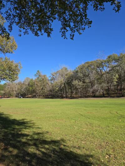 Davey Dogwood Park - Palestine, TX