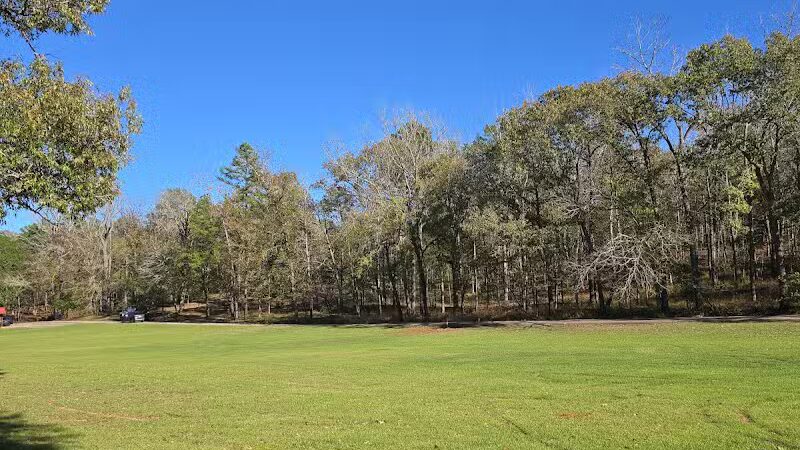 Davey Dogwood Park - Palestine, TX