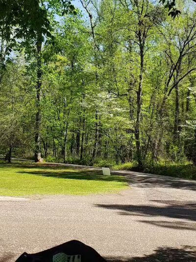 Davey Dogwood Park - Palestine, TX