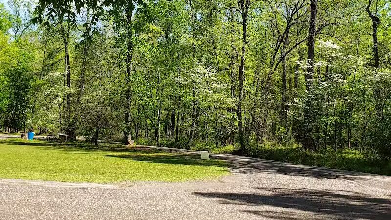 Davey Dogwood Park - Palestine, TX