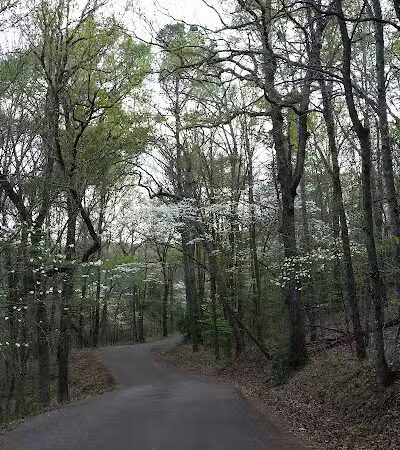 Davey Dogwood Park - Palestine, TX